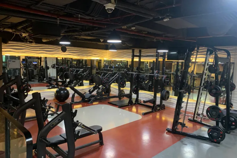 King Fitness Mai Hắc Đế
