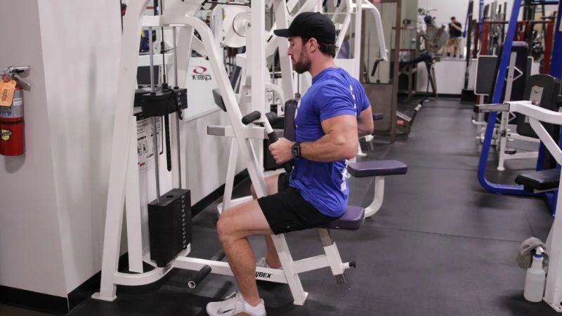 những bài tập lưng