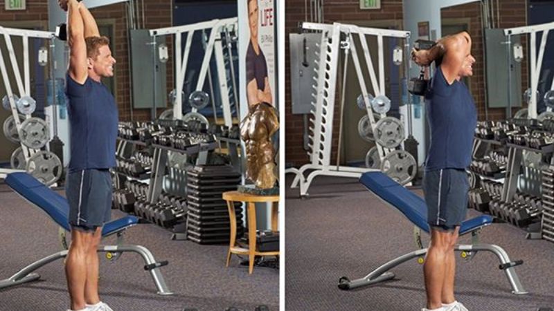 bài tập cơ tay sau