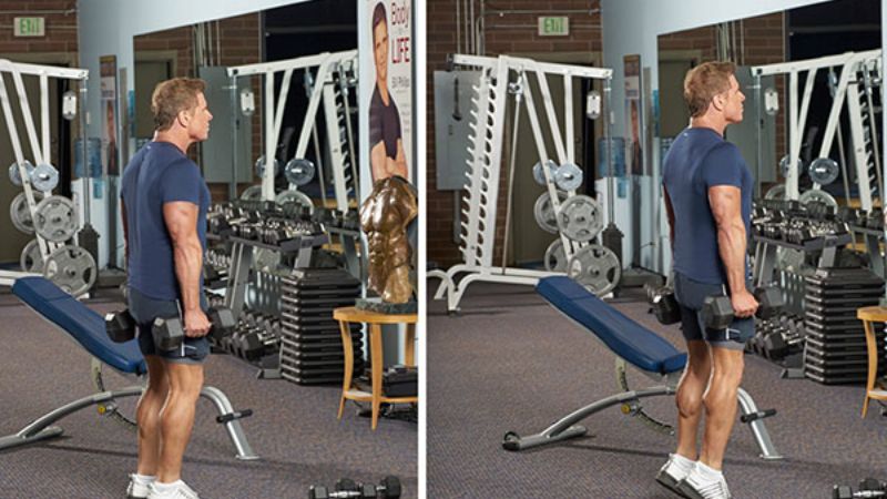 các bài tập cơ tay với tạ đơn