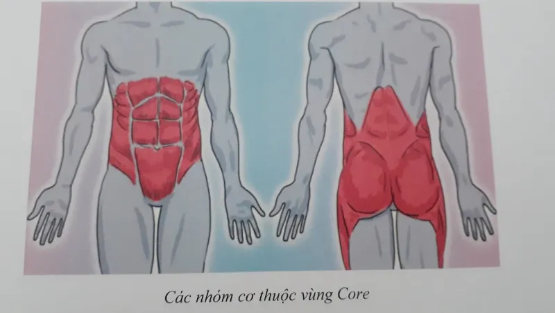 bài tập tăng cân tăng cơ cho nam