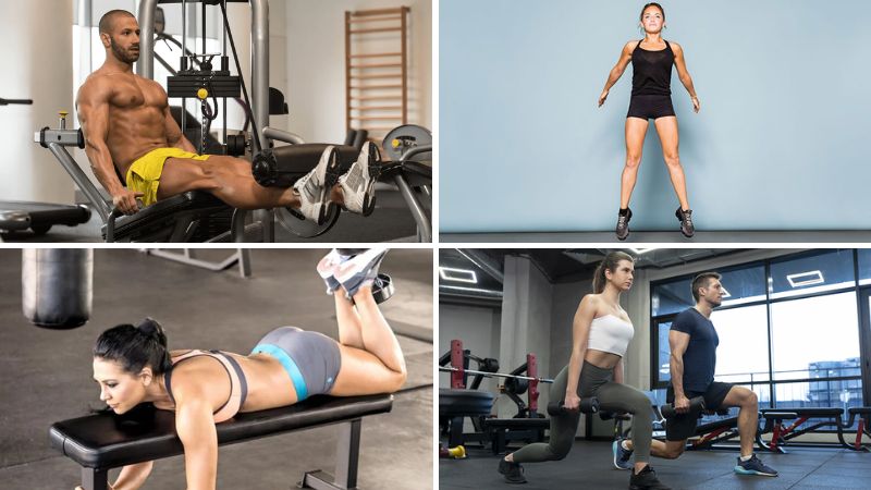 các bài tập chân tại phòng gym