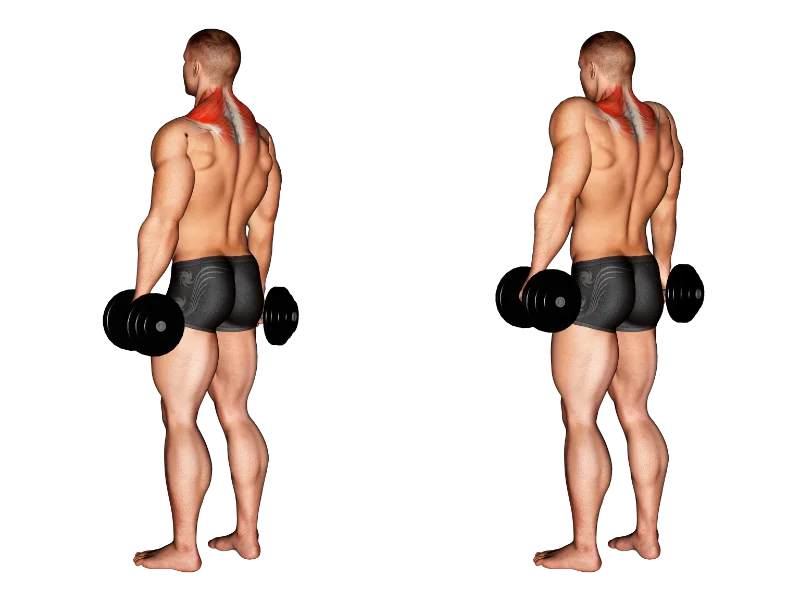 những bài tập vai gym