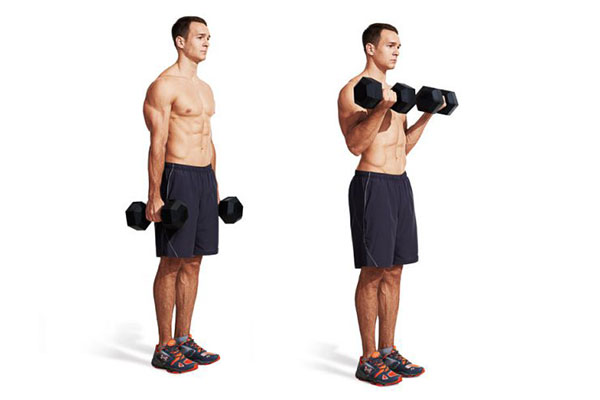 bài tập tay trước