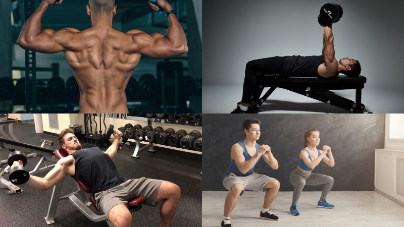 lịch tập gym 5 ngày 1 tuần cho nam