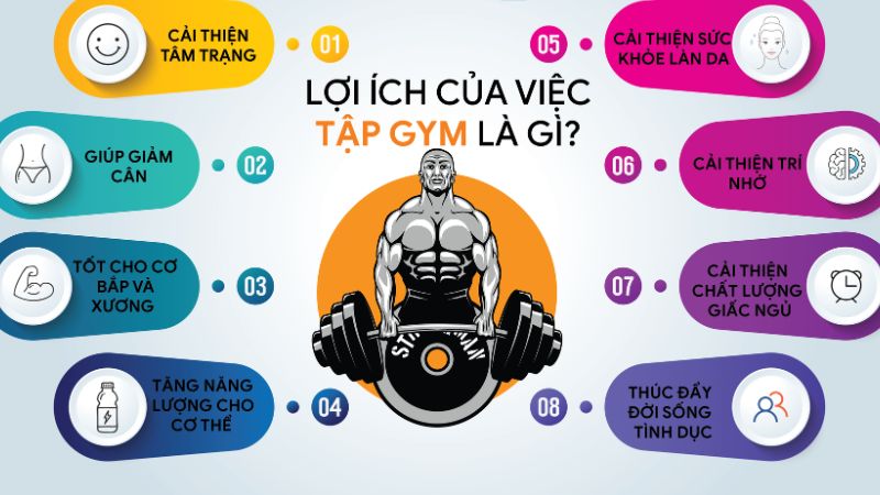 fitness là gì