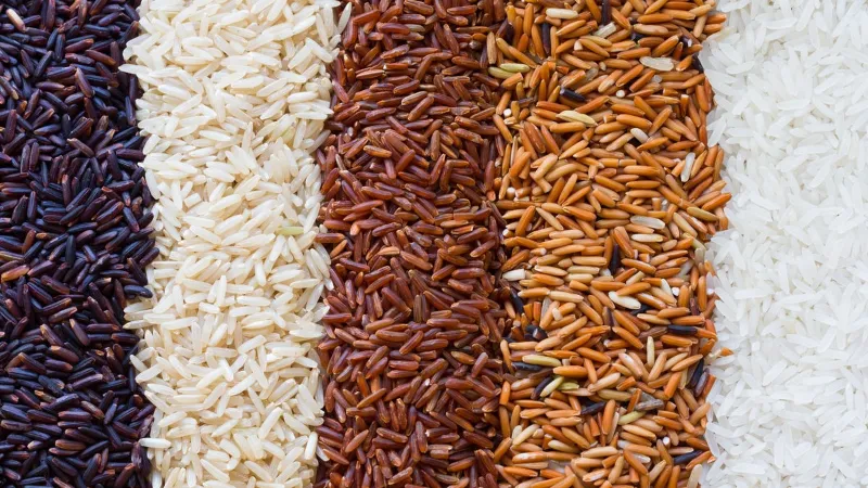 thực đơn cho người tập gym tăng cân tăng cơ