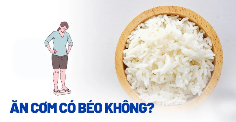 1 bát cơm bao nhiêu calo