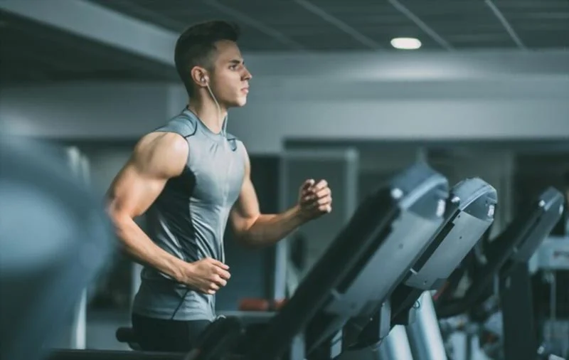 sữa whey protein là gì