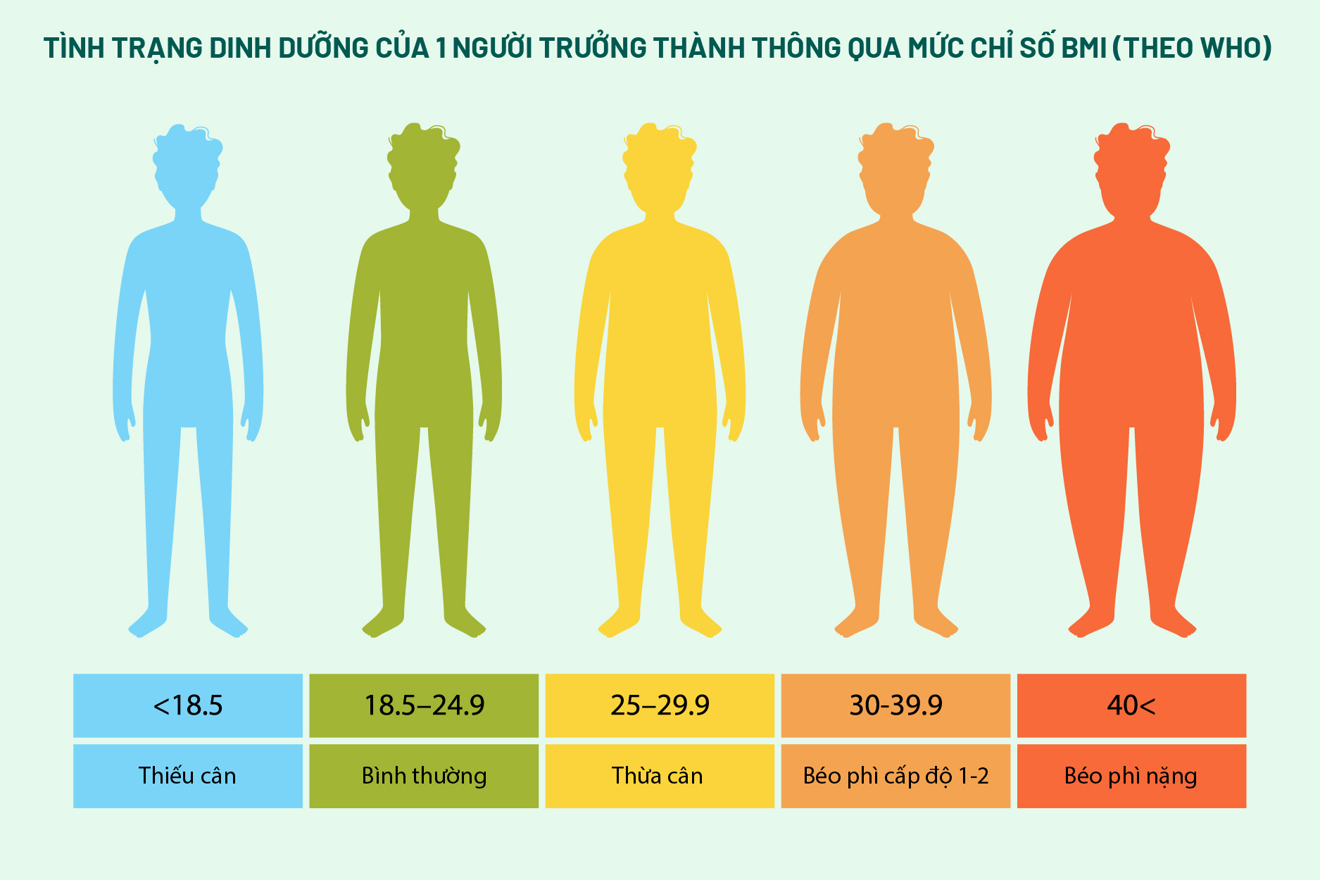 Chỉ số BMI theo chuẩn WHO, giúp người xem dễ dàng tính BMI và nhận biết mức gầy, bình thường, thừa cân hay béo phì của cơ thể.