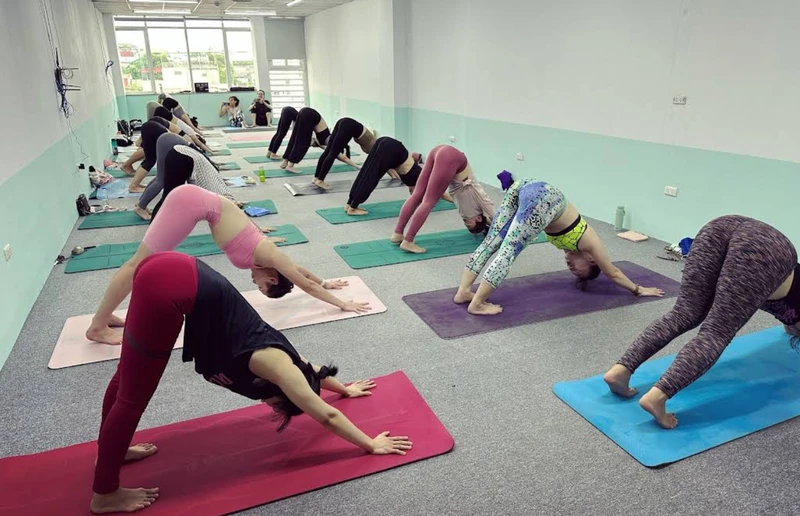 lớp yoga hà nội The Yoga Zone