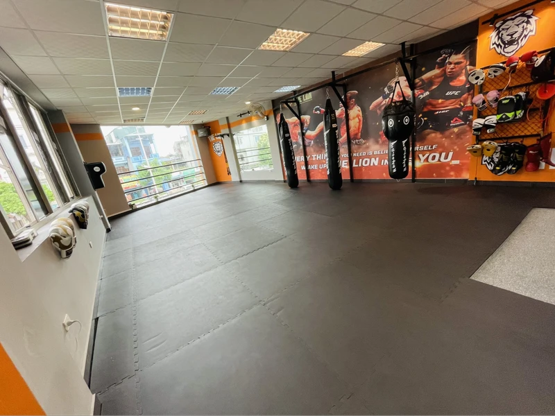 Phòng tập kickboxing hà nội The Lion - Kickboxing & Fitness