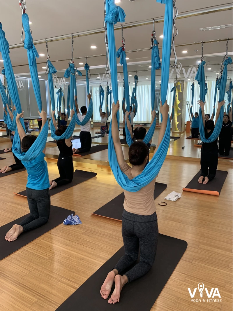 Phòng tập Yoga bay Viva Yoga & Fitness