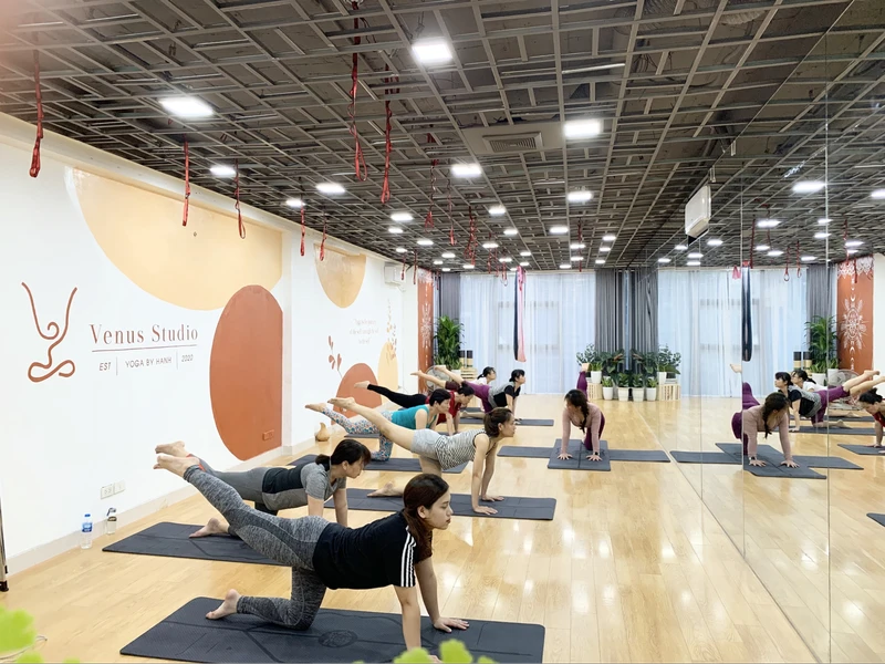 phòng tập Yoga Đống Đa Venus Studio Yoga By Hạnh