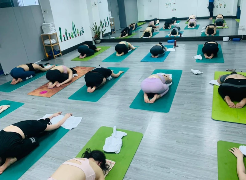 tập yoga ở phú nhuận tại phòng tập Yoga Dalusd